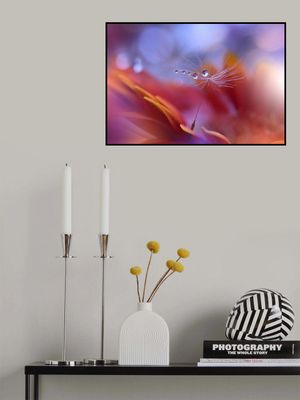 Dance in the Light...