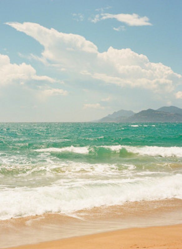 Cannes France III on Film