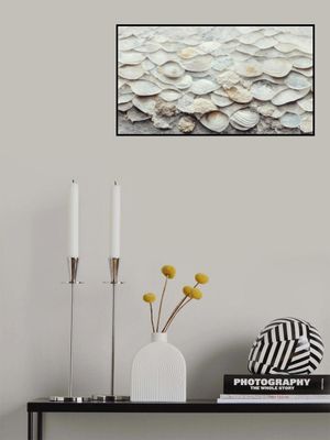 Shell Harmony Wall