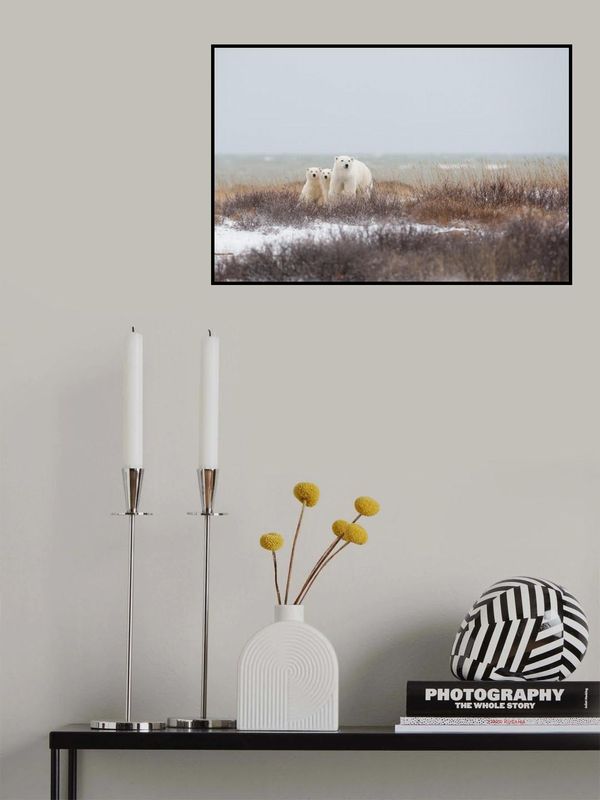 Mother &amp; cubs at the seaside