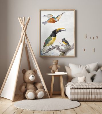 Three Birds  a Kingfisher, a Prince Von Wied's Toucan and an Sparrow