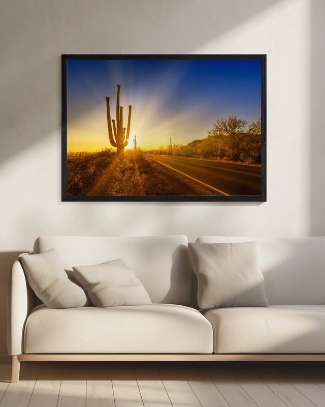 SAGUARO NATIONAL PARK Setting Sun