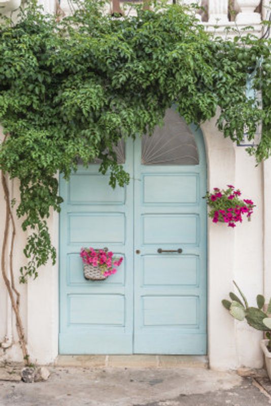 Botanical Facade In Italy