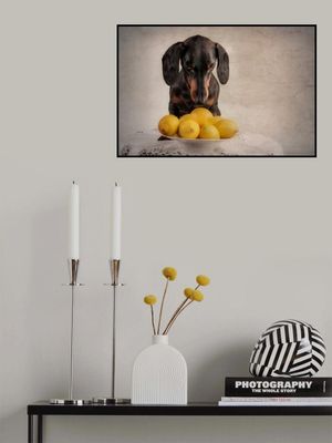 When Life Gives You Lemons...