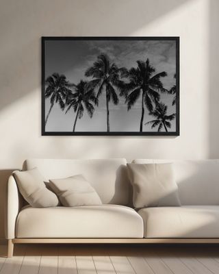 Hawaiian Palms