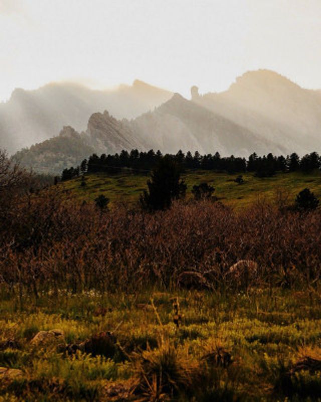 South Mesa Trail VIII