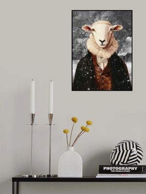 Sheep - a Winter Portrait