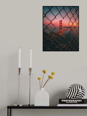 Golden Gate Caged