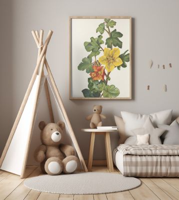 Mexican Fremontia From North American Wildflowers (1925) By Mary Vaux Walcott