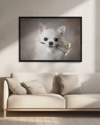 Chihuahua with flowers