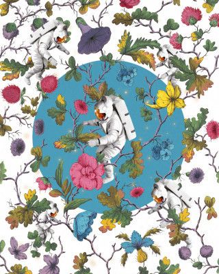 In a Galaxy, Far Far Away