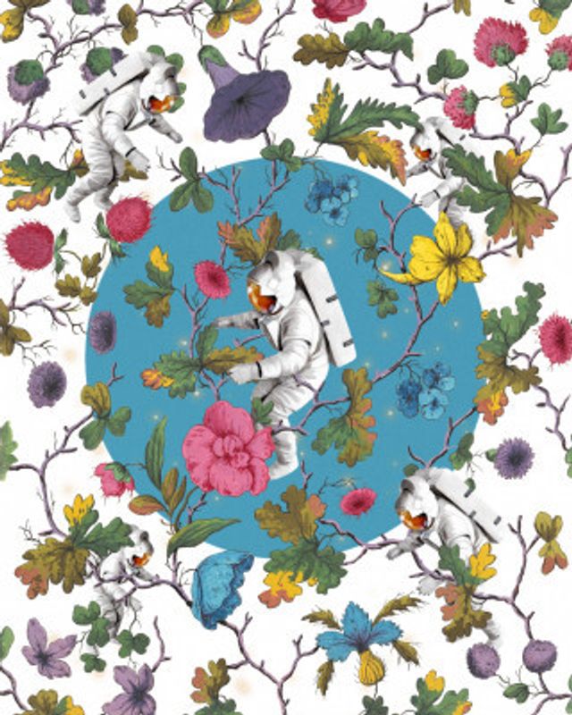 In a Galaxy, Far Far Away