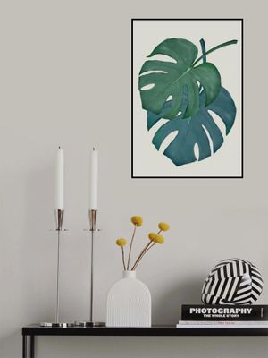 Monstera Aqua 06