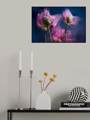 Poppies by the wayside