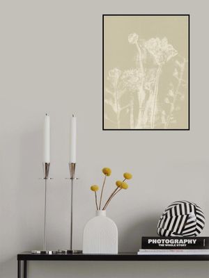 Abstract Florals. White meadow plants and flowers on neutral beige.