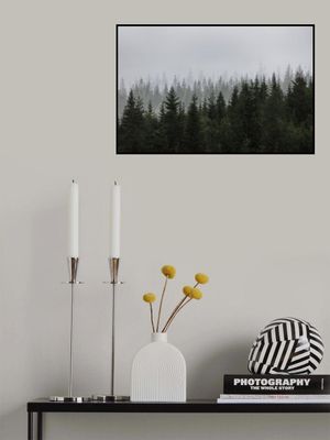 Mystical Forest Scene