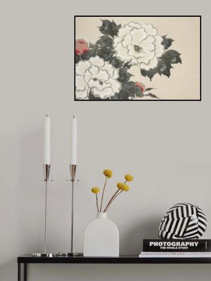 Flowers From Momoyogusa