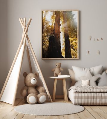 Redwood Forest Sunbeams II