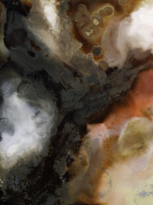 Mesmerizing Blend Of Dark And Earthy Hues