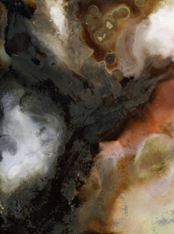 Mesmerizing Blend Of Dark And Earthy Hues