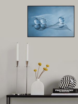 Dry leaf and Bubbles