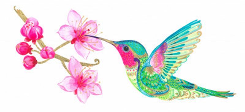 Hummingbird and Blossom