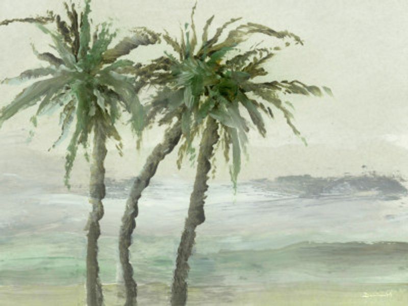 Windy Palms