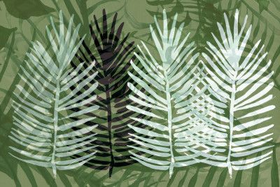 Botanicals In Bloom 2