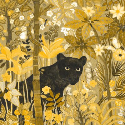 Panther  Hidden Tropics