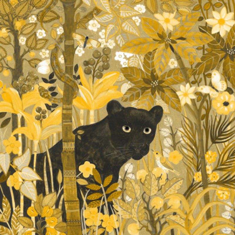 Panther  Hidden Tropics