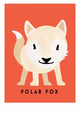 Polar Fox