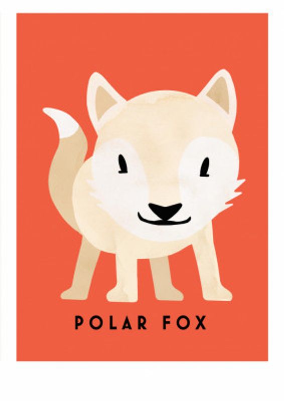 Polar Fox