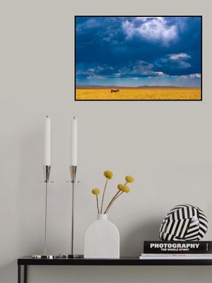 Two-horned Rhino under a cloudy sky