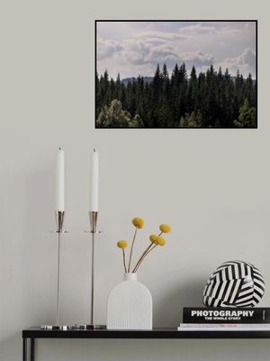 Mystical Forest Scene 4