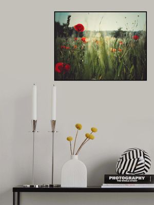 Spirit of the fields