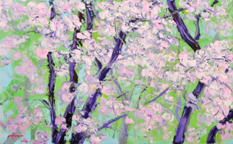 cherry blossoms oil on canvas