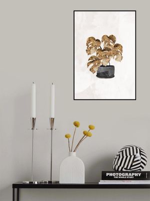 Black and gold house plant 5