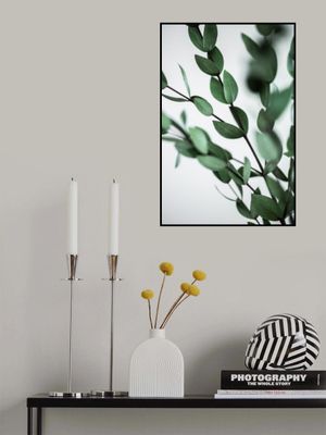 Green Eucalyptus Branches