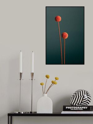 Orange Seed Capsules