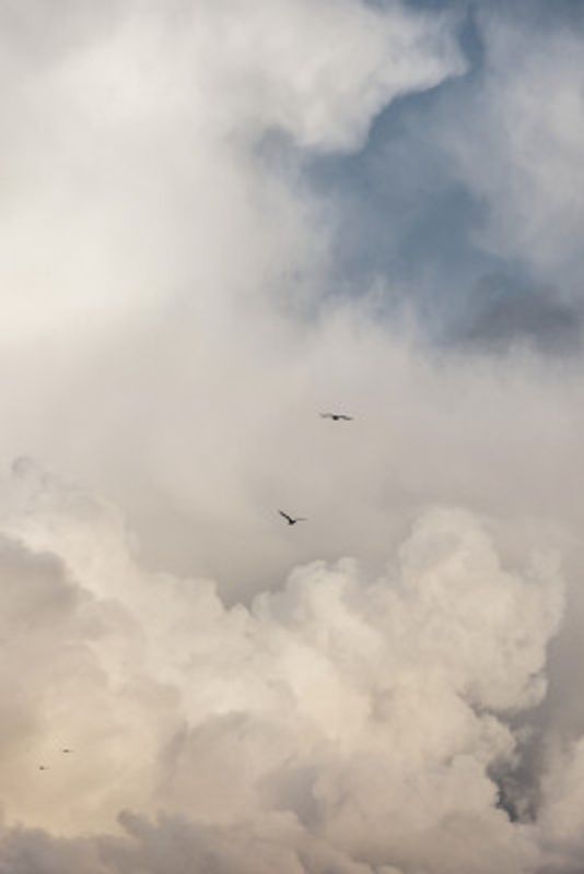 Flying High 14