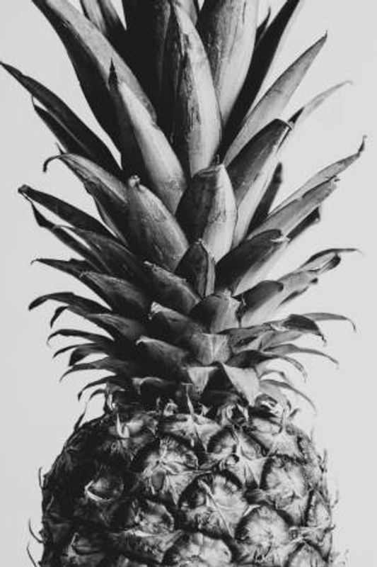 Pinapple Black &amp; White 04