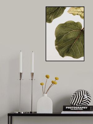 Leaf Vein Tapestry