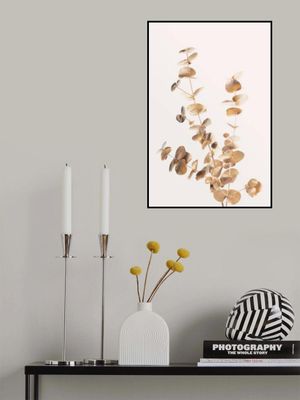 Eucalyptus Gold No 04