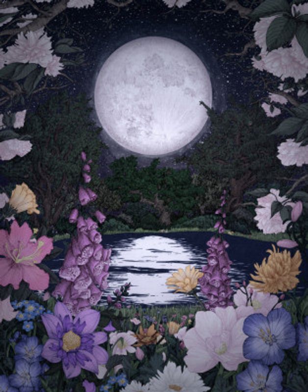 Moon Garden Reflections
