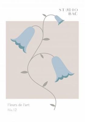 Bluebells Studio Bac