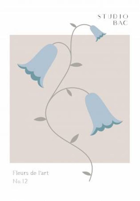 Bluebells Studio Bac