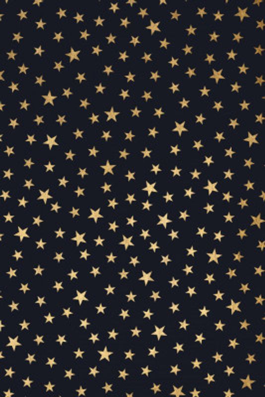 Stardust At Midnight