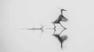 "Dancing on the water"