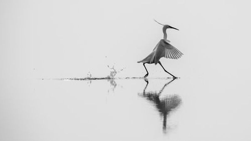 "Dancing on the water"