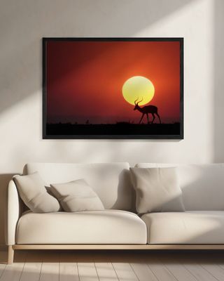 An African Sunset